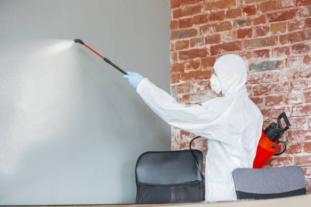 Best Forensic Mold Investigation  in Water Valley, MS