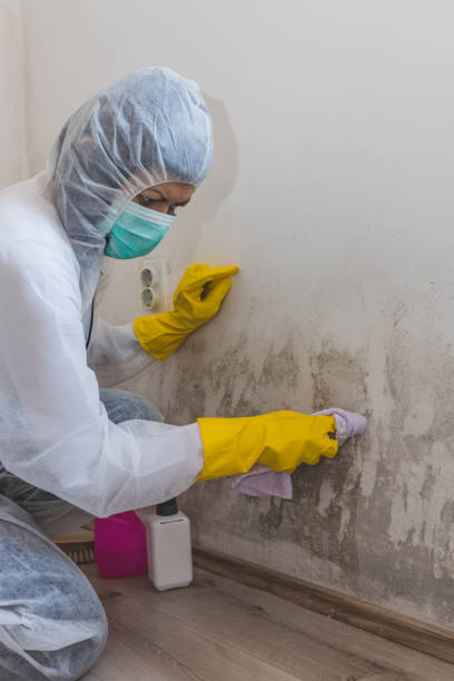 Asbestos and Lead Testing During Mold Inspection in Water Valley, MS