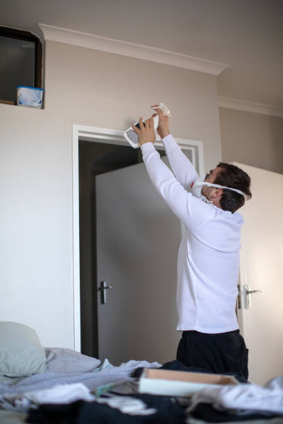 Professional Mold Removal in Water Valley, MS