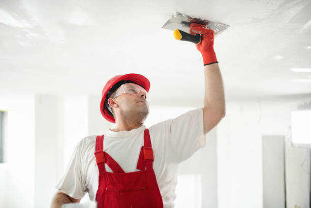 Best Mold Odor Removal Services  in Water Valley, MS