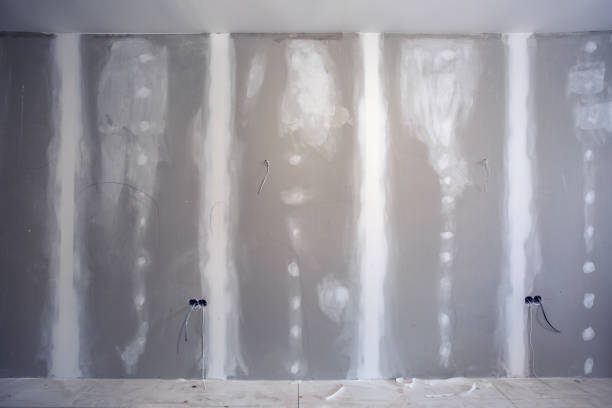 Best Real Estate Mold Inspection  in Water Valley, MS